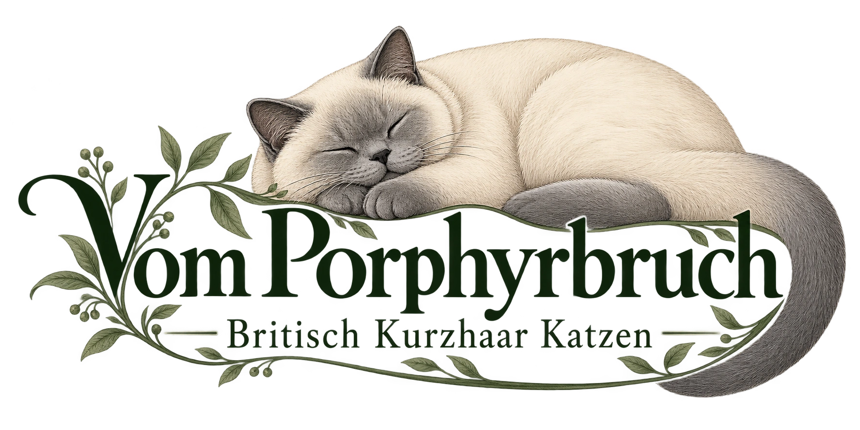 Vom Porphyrbruch · Britisch Kurzhaar Katzen